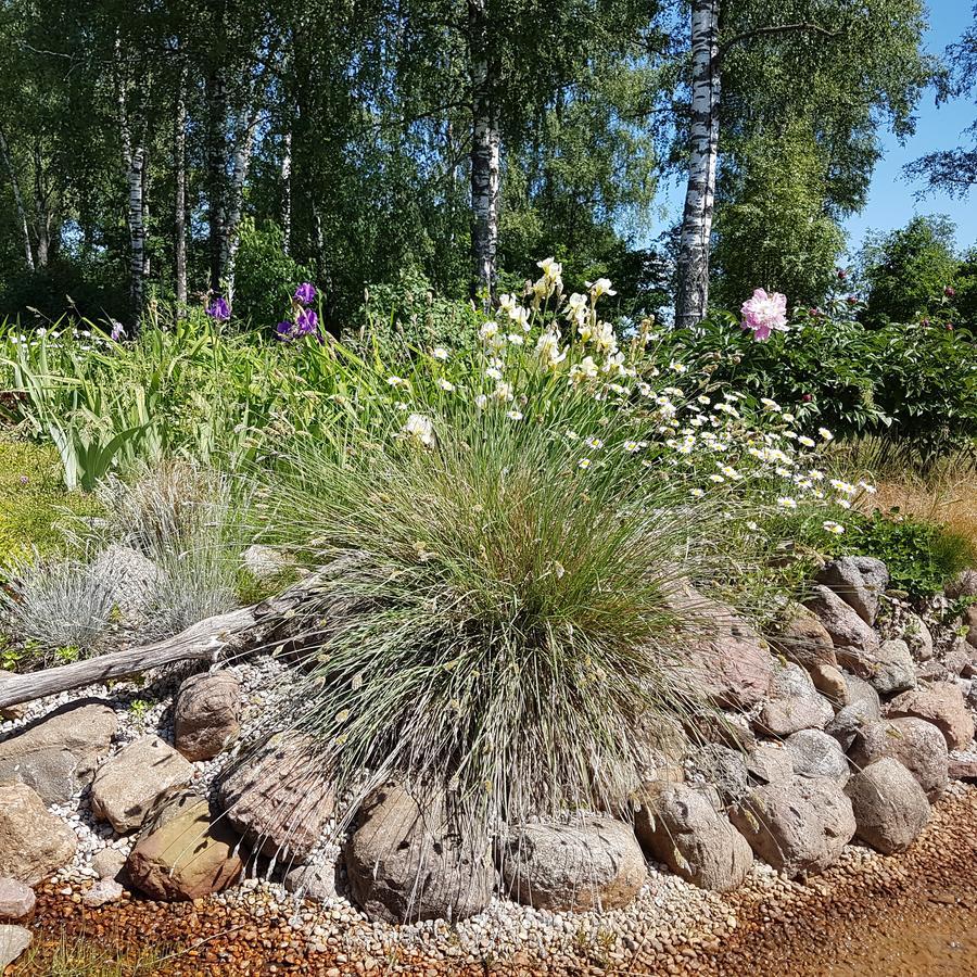 Vila Sanzila Bernatoniai Exteriör bild