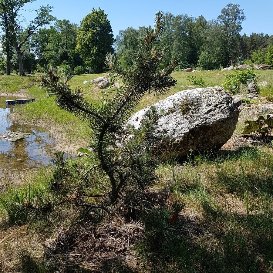 Vila Sanzila Bernatoniai Exteriör bild